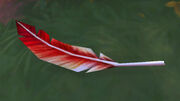 Soft Ruby Feather
