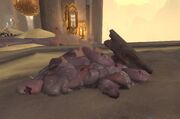 Suspicious Rubble Pile