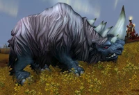 Image of Wooly Rhino Bull