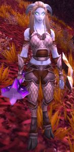 Image of Defender Ursi
