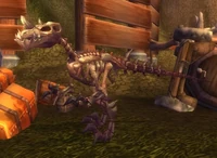 Image of Living Fossil