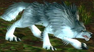 Tame Wolf