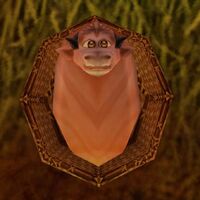Image of Taurajo Orphan