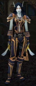 Image of Veteran Dark Ranger