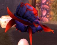 Buru The Gorger Wowpedia Your Wiki Guide To The World Of Warcraft Buru The Gorger Wowpedia Your Wiki Guide To The World Of Warcraft