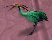 Jade Crane Chick.jpg