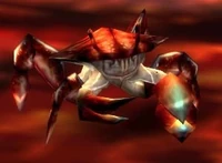 Image of Lava Crab