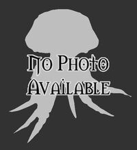 No image available