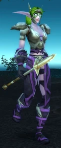 Image of Darnassian Huntress