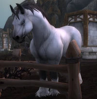 Image of Farson Horse