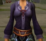 Master Builder's Shirt