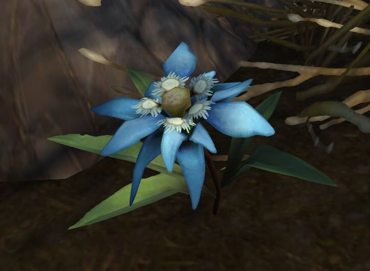 Snow Lily - Wowpedia - Your wiki guide to the World of Warcraft