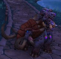 Image of Oscaar