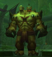 Cho'gall in Dire Maul