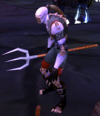 Image of Risen Squire