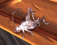 Image of The Fiddler