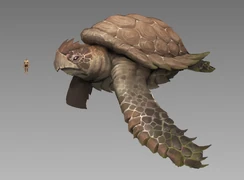 Concept art of a giant turtle of the Dragon Isles.