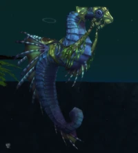 Image of Swift Seahorse