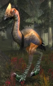 Image of Giant Foreststrider