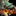 IconSmall Galakras.gif