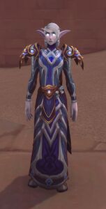 Image of Arcanist Elleryn