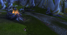 Blood elf heritage quest bodies