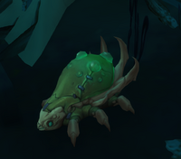 Image of Festering Larva