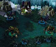 Nerubian Guardians WCIII.jpg