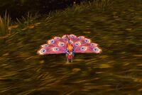 Image of Brilliant Bloodfeather