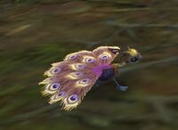 Image of Golden Dawnfeather