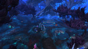 Spirit Glen