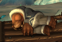 Image of Haaik
