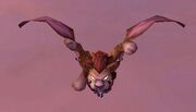 Wind Rider Cub.jpg