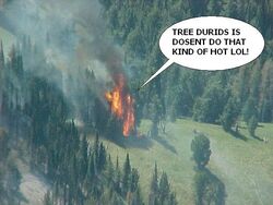 Tree-fire.jpg