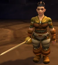 Image of Bael'dun Officer