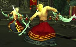 Demon Hunter Training.jpg