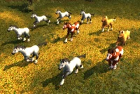 Image of Highland Mustang