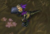 Sharptalon Hatchling