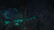 Warder's Teeth