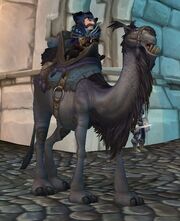 A gnome male on his Grey Riding Camel