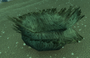 Swoop Nest