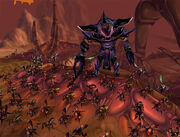 A swarm of  led by qiraji .