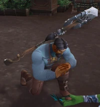 Image of Armed Villager