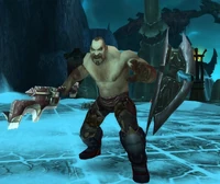 Image of Mjordin Combatant