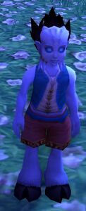Image of Brae