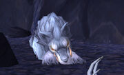 Captured Frost Wolf