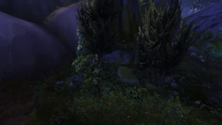 Orb 8: Entrance obscured by leaves and bushes