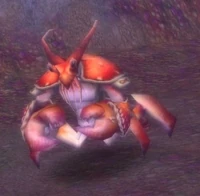 Image of Makrura Elder