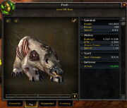 Character info - Pet