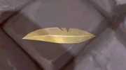 Forgotten Feather.